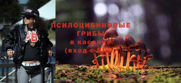 ECSTASY Лихославль